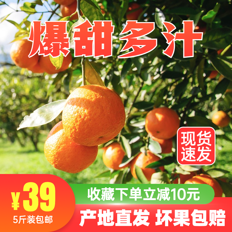 实景秋上新生鲜水果橘子直通车主图