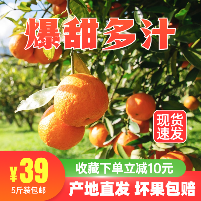 实景秋上新生鲜水果橘子直通车主图预览效果