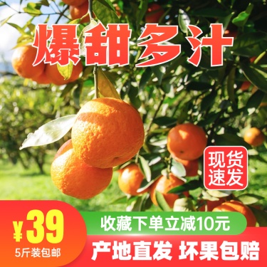 实景秋上新生鲜水果橘子直通车主图