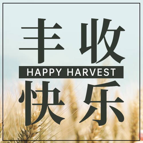 通用中国农民丰收节宣传实景公众号次图预览效果