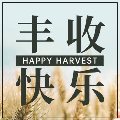 通用中国农民丰收节宣传实景公众号次图