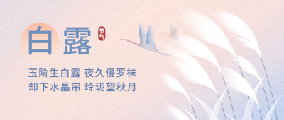 白露节气祝福问候手绘公众号首图