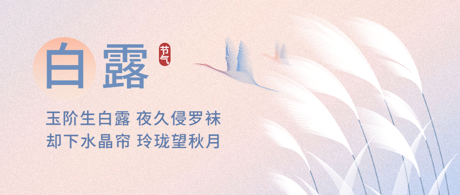白露节气祝福问候手绘公众号首图