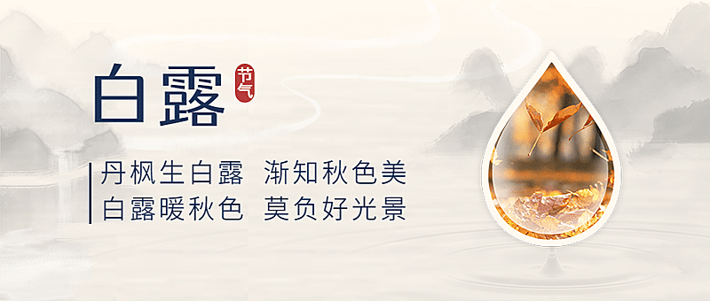 白露节气祝福枫叶实景公众号首图