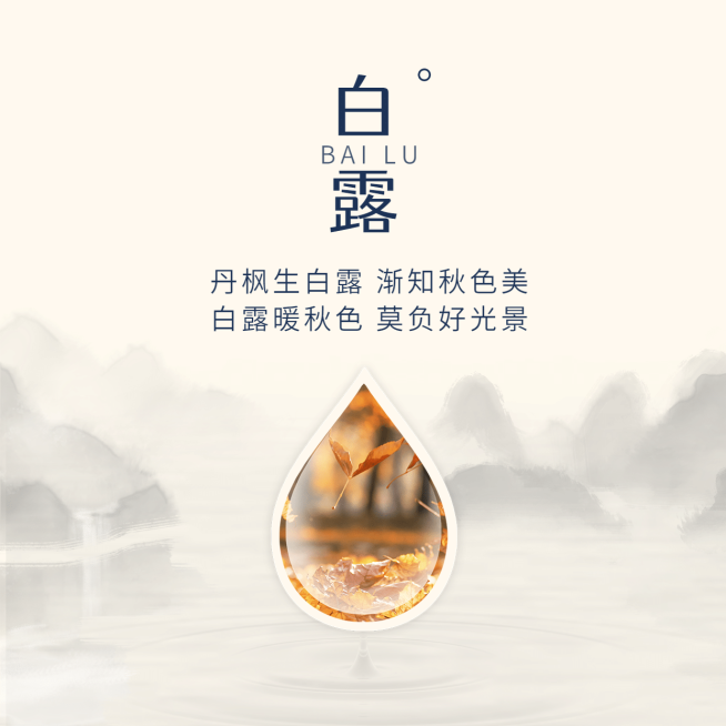 白露节气祝福枫叶实景方形海报预览效果