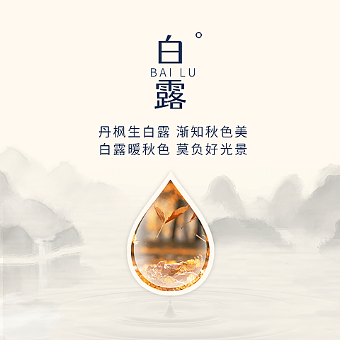 白露节气祝福枫叶实景方形海报