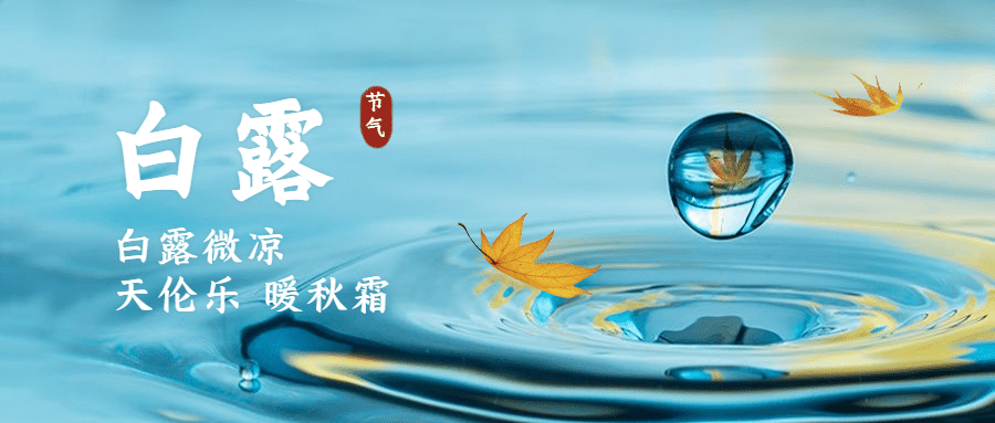 白露节气祝福枫叶实景公众号首图预览效果