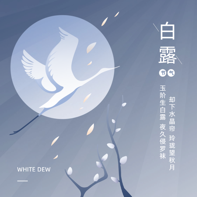 白露节气祝福插画简约方形海报预览效果