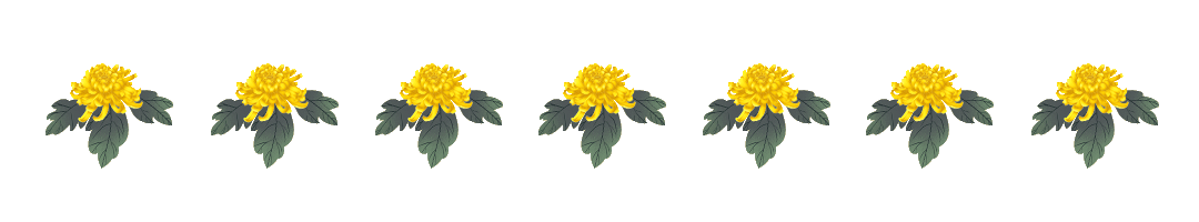 九九重阳节菊花手绘GIF动态分割线预览效果
