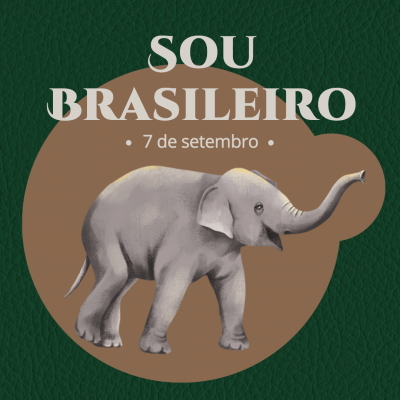 Brazil Independence Day Instagram Post