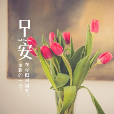 早安唯美鲜花日签问候方形海报