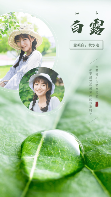 白露节气水滴祝福女性晒照多图预览效果