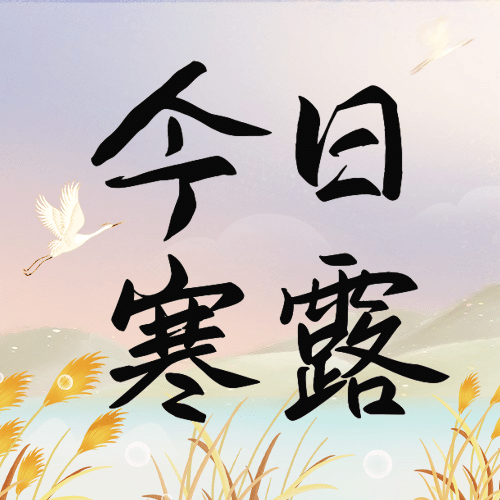 寒露节气祝福问候芦苇白鹭手绘次图预览效果