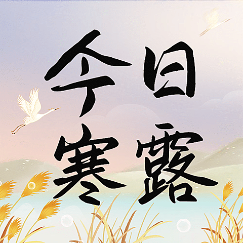 寒露节气祝福问候芦苇白鹭手绘次图