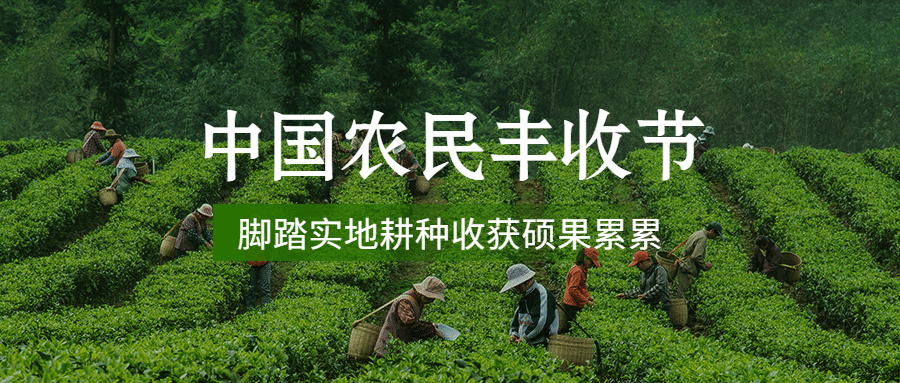通用中国农民丰收节宣传公众号首图预览效果