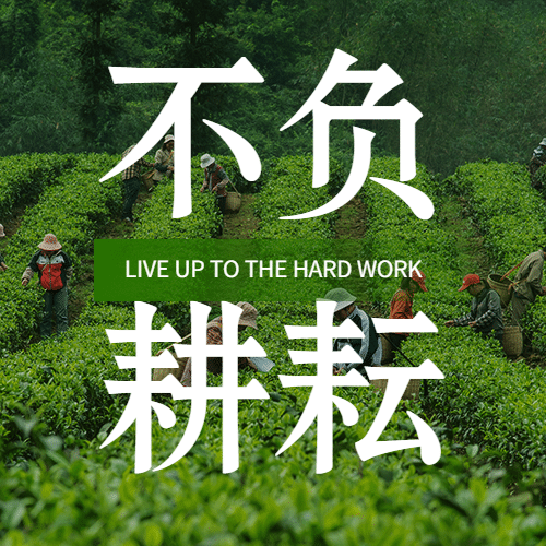 通用中国农民丰收节宣传实景公众号次图预览效果