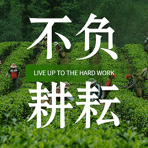 通用中国农民丰收节宣传实景公众号次图