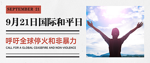 国际和平日停火日实景首图