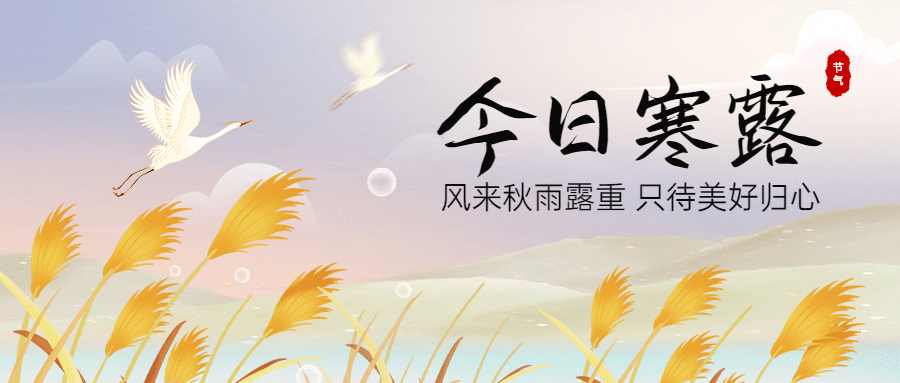 寒露节气祝福问候芦苇白鹭手绘首图预览效果