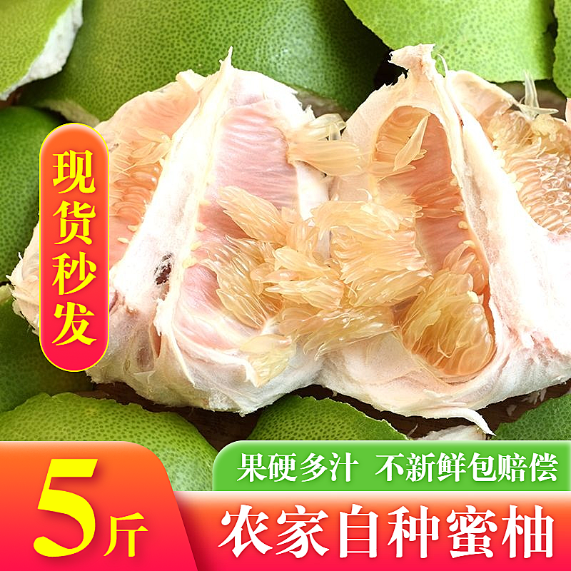 生鲜食品水果柚子蜜柚直通车主图