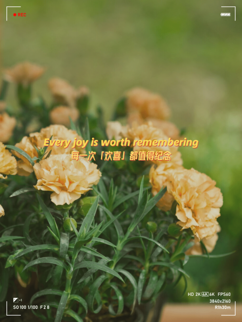 晒图鲜花每一次都值得纪念预览效果