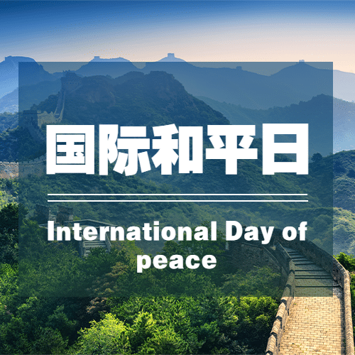 国际和平日停火日实景次图预览效果