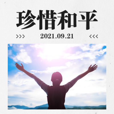 国际和平日停火日实景次图