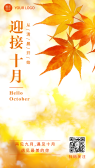 模板缩略图