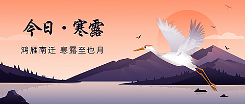 寒露节气祝福白鹭手绘公众号首图