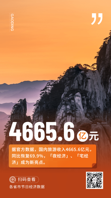 商务民生政务数据发布实景手机海报预览效果