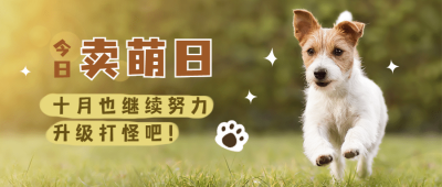 10.10卖萌日可爱狗狗宣传实景公众号首图
