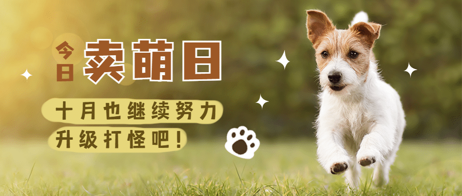 10.10卖萌日可爱狗狗宣传实景公众号首图