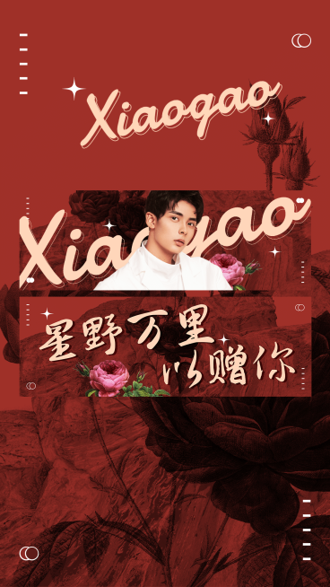 华丽风明星横版应援手幅预览海报预览效果