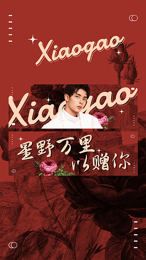 华丽风明星横版应援手幅预览海报