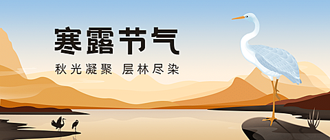 寒露节气祝福白鹭手绘公众号首图