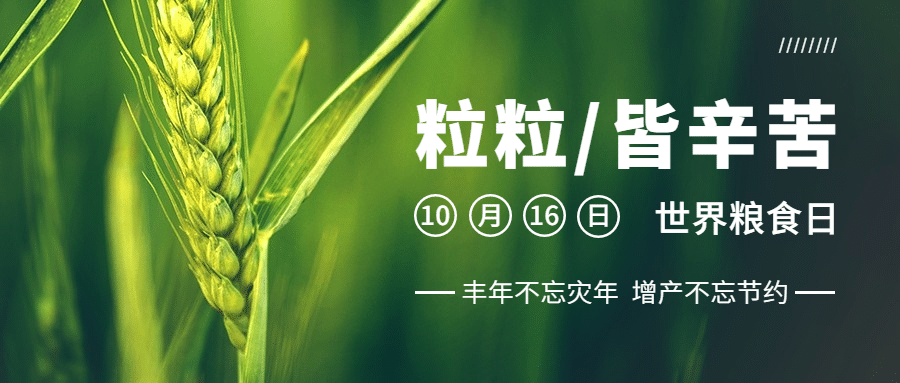 世界粮食日节约粮食光盘行动首图预览效果