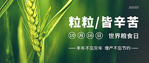 世界粮食日节约粮食光盘行动首图