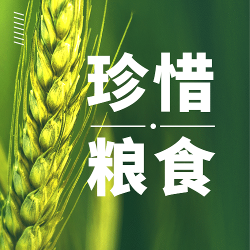 世界粮食日节约粮食光盘行动次图预览效果