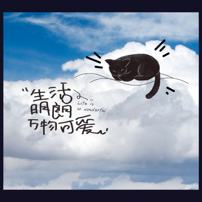 纯色简约边框喵咪文字晒照plog预览效果