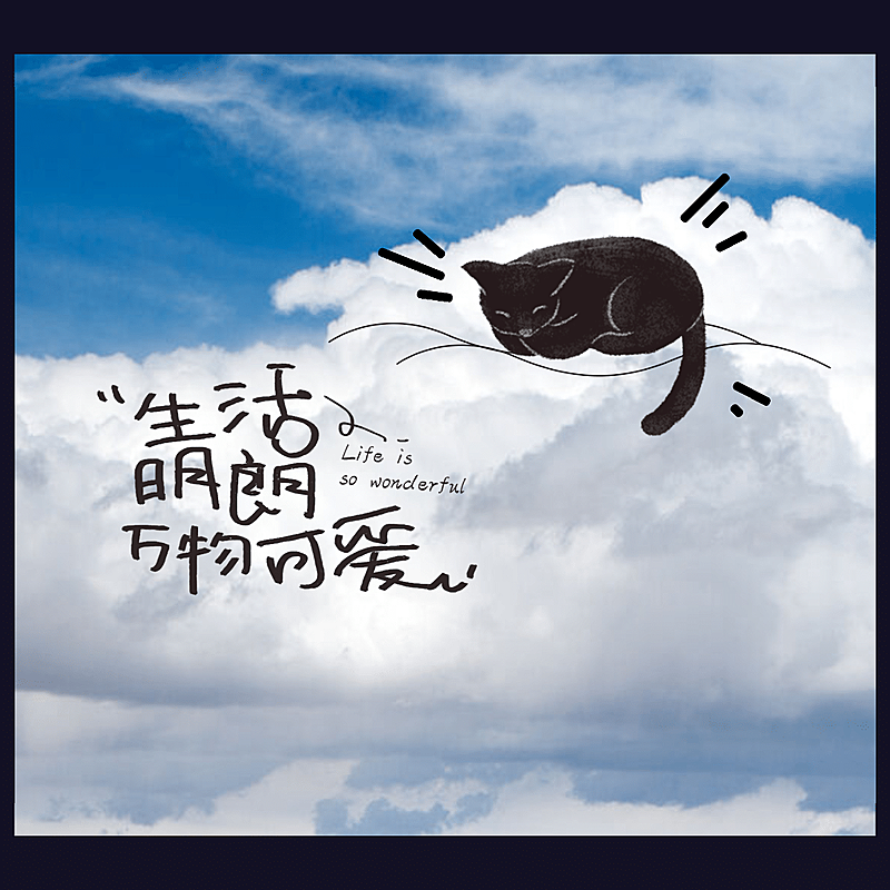 纯色简约边框喵咪文字晒照plog