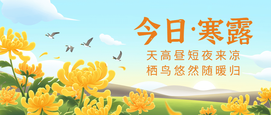 寒露节气祝福赏菊习俗白鹭手绘首图预览效果