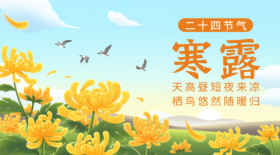 寒露节气祝福赏菊习俗白鹭横版海报预览效果