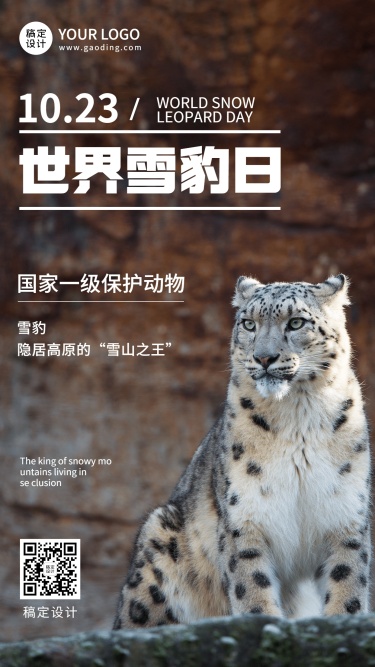 世界雪豹日保护珍稀动物公益宣传实景海报