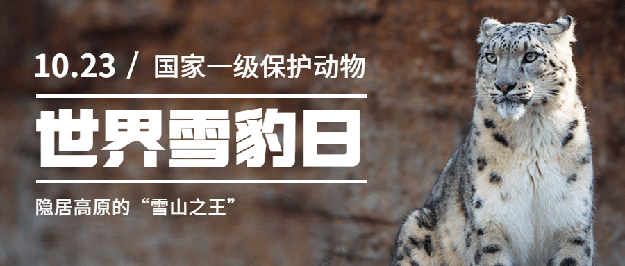 世界雪豹日保护珍稀动物公益宣传实景公众号首图预览效果
