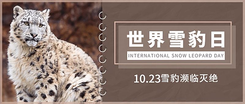 世界雪豹日保护珍稀动物公益宣传实景首图