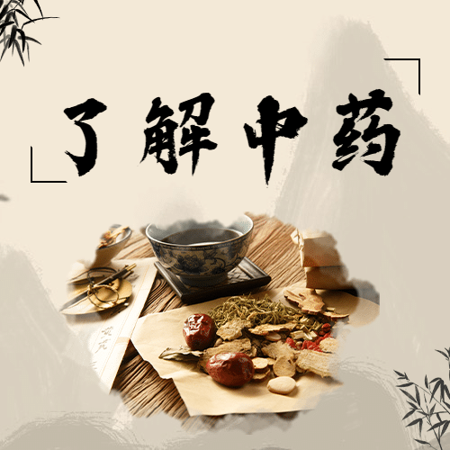 世界传统医药日中医宣传次图预览效果
