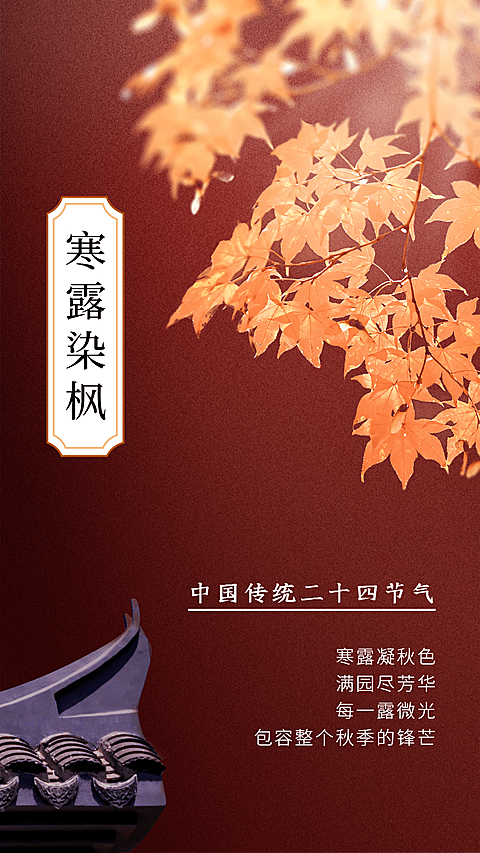 寒露节气祝福风景近景合成枫叶