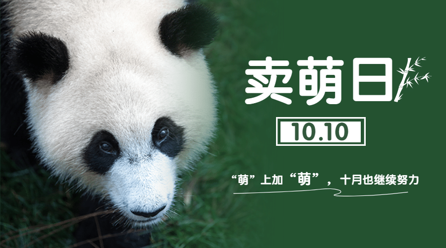 10.10卖萌日可爱熊猫宣传实景广告banner预览效果