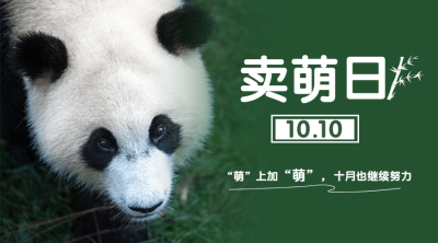 10.10卖萌日可爱熊猫宣传实景广告banner