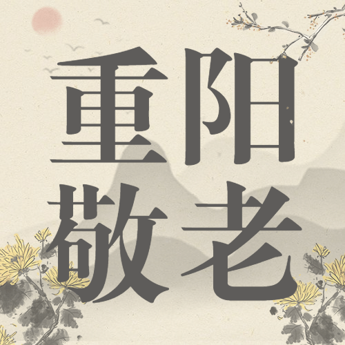 重阳节敬老走访慰问演出中国风公众号次图预览效果